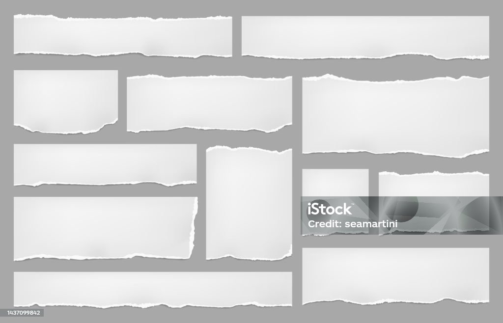 Weiß zerrissene Papierbögen, Notizblatt zerrissene Fetzen - Lizenzfrei Papier Vektorgrafik Weiß zerrissene Papierbögen, Notizblatt zerrissene Fetzen - Lizenzfrei Papier Vektorgrafik