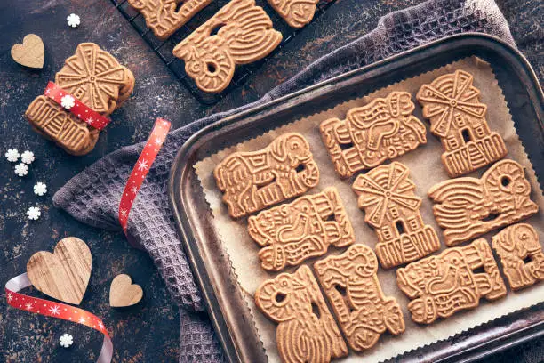 Speculoos or Spekulatius, Christmas biscuits on dark textured background. Traditional German sweets, cookies for Xmas on metal baking tray with red ribbons.