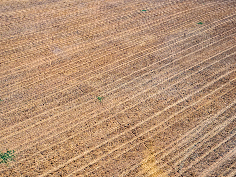 Aerial view of harvested crops