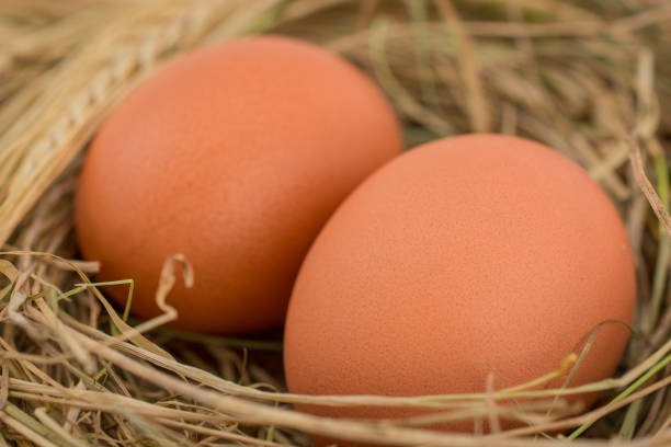 istock Farm-Fresh Brown Eggs on wooden background 1437105705