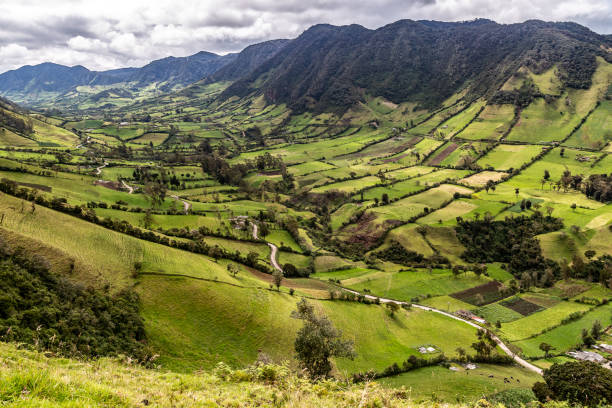 istock Traditional Andean crops 1437108612