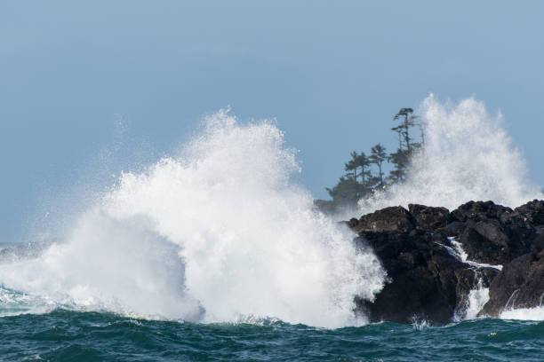 istock Waves crashing at Big Beach, Ucluelet, BC 1437120489