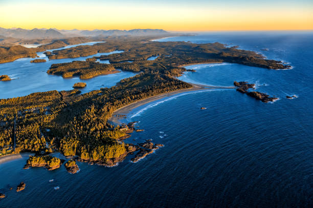 aerial shot of chesterman beach, tofino, bc - canadian beach imagens e fotografias de stock