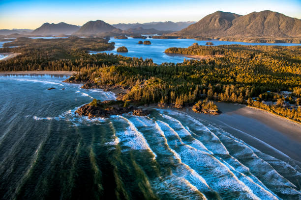 Aerial shot of Cox Bay Beach, Tofino, BC Aerial shot of Cox Bay Beach from helicopter, Tofino, Vancouver Island, BC Canada british columbia stock pictures, royalty-free photos & images