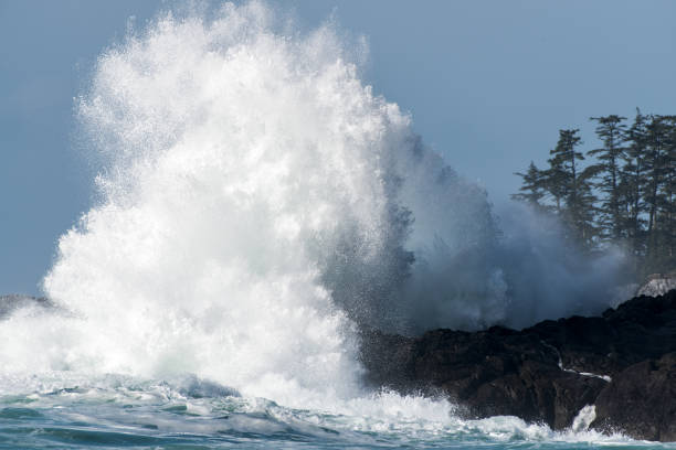 istock Big storm wave at Big Beach, Ucluelet, BC 1437123439
