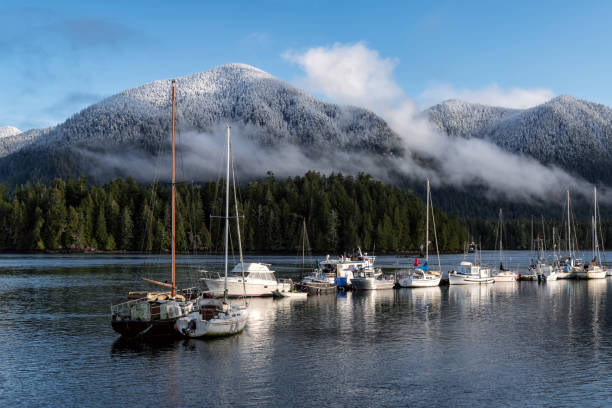 Winter shot of Meares Island, Tofino, Vancouver Island, BC Canada