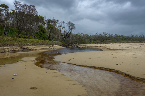 Coastal Stream at Little Shelley Beach Yuraygir coastal walk south of Angourie Point