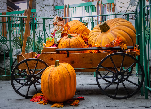 Pumpkin on a carriage