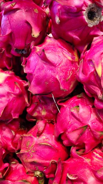 istock A large group of Dragon fruit at fruit market 1437128614