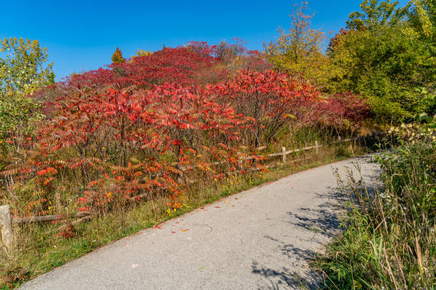 istock Don Valley Brick Works Park, Toronto, Canada 1437130881