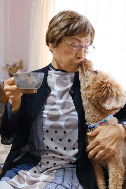 istock Senior woman with a dog 1437130934