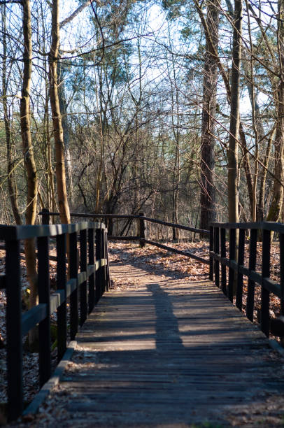 istock Wooden bridge in the forest close-up, early spring 1437137594