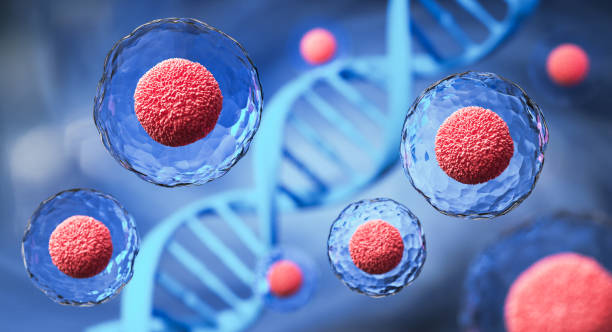 ヒト細胞または胚性幹細胞顕微鏡の背景の3dレンダリング。 - blood cell red blood cell blood stem cell ストックフォトと画像