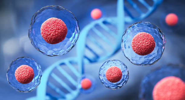 istock 3d rendering of Human cell or Embryonic stem cell microscope background. 1437141702