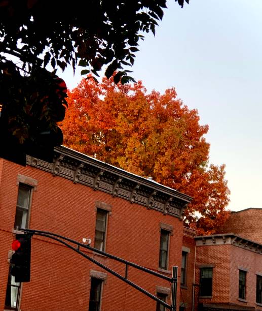 istock Street in Autumn 1437146002