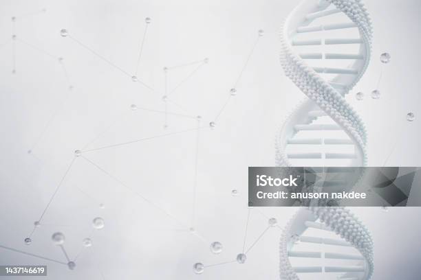 White Dna Helix Structure Science And Technology Background 3d Illustration Stock Photo - Download Image Now
