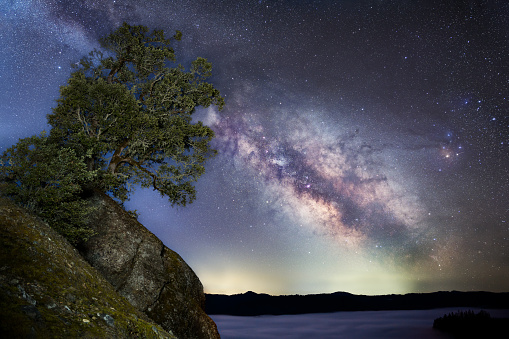 An age-old canyon live oak is perched ontop of a massive boulder under a bright night sky