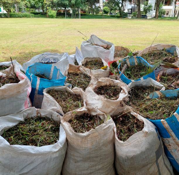 istock field grass that has been cut and collected in sacks 1437151666
