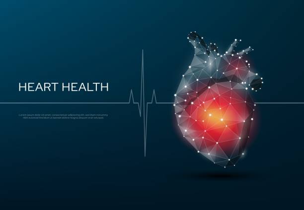 istock Low poly human heart, cardiology or cardiac health 1437154623