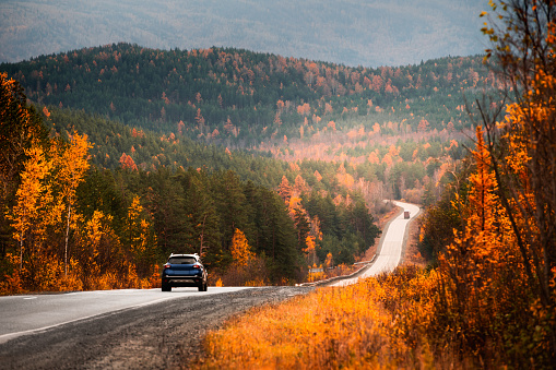 Road with yellow trees in autumn mountains at sunset. Car driving on the asphalt road. Beautiful autumn landscape.