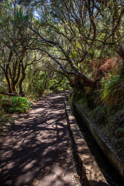 istock Vereda das 25 fontes hiking on Maderia 1437162962