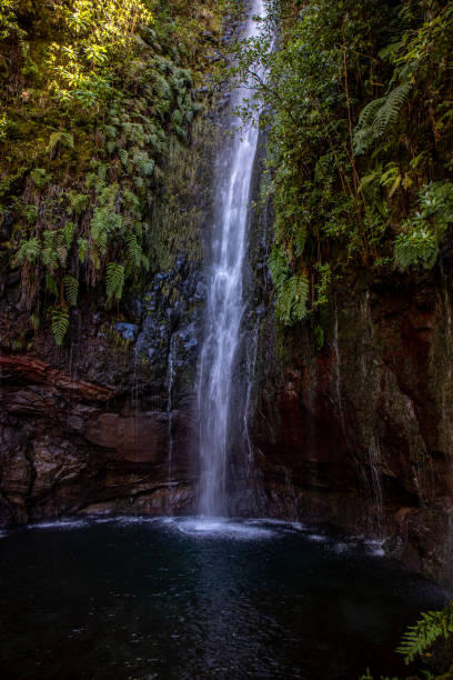 istock Vereda das 25 fontes hiking on Maderia 1437163294