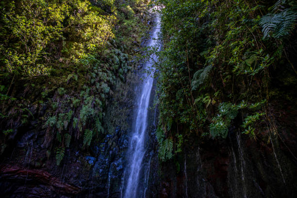 istock Vereda das 25 fontes hiking on Maderia 1437163682