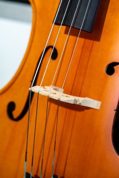 istock Close-up of violin 1437164379