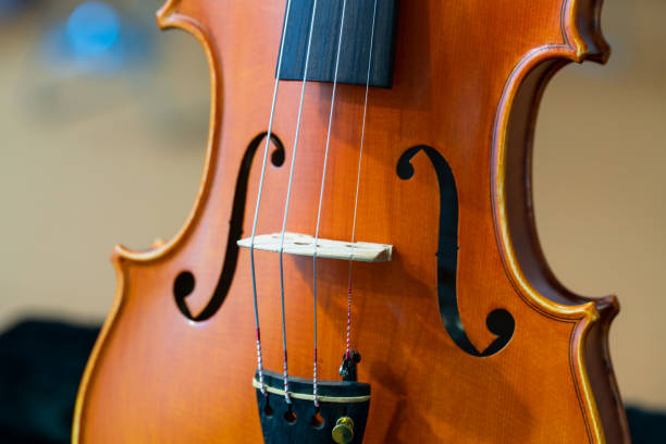 primo violino - classical music red violin bow foto e immagini stock
