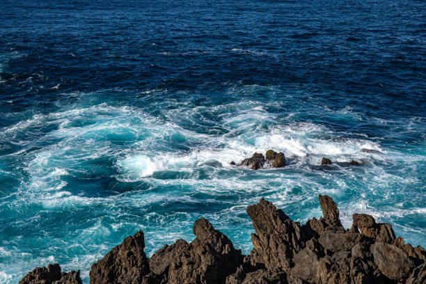 picture taken on Madeira island