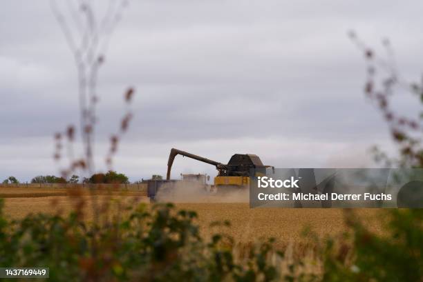 Combine Harvester With Truck Harvesting Grain Field At Stonehenge On A Cloudy Summer Day Stock Photo - Download Image Now