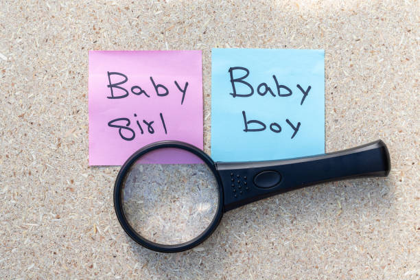 Girl or boy gender reveal hand written on a pink and blue note paper with magnifying glass Girl or boy gender reveal hand written on a pink and blue note paper with magnifying glass asian gender reveal stock pictures, royalty-free photos & images