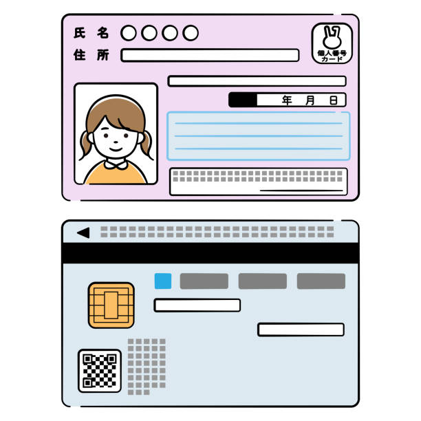 Girl's my number card double-sided illustration set Girl's my number card double-sided illustration set public service icon stock illustrations