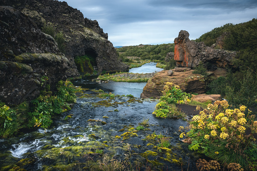 Magical valley Gjain in Iceland with basalt rock formations.