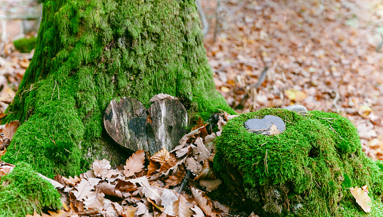 funeral Heart sympathy or wooden funeral heart near a tree. Natural burial grave in the forest. Heart on grass or moss. tree burial, cemetery and All Saints Day concepts