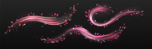Wind swirls with flower pink petals Wind swirls with flower pink petals isolated on transparent background. Vector realistic illustration of spiral air vortex with flying blossom petals, magic dust splash wave png stock illustrations
