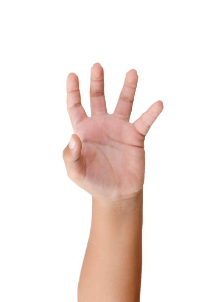 istock Close up of open hand isolated with white background 1437181807