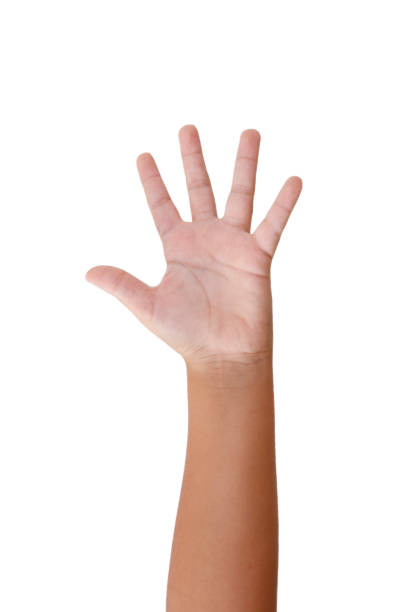 istock Close up of open hand isolated with white background 1437181953