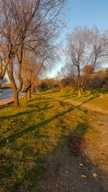 istock road or path through the countryside 1437187136