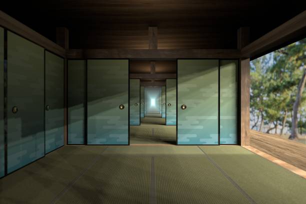 Japanese traditional door