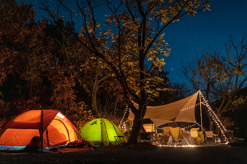 Starry Camp in Autumn Forest