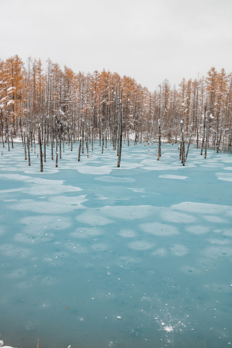 Blue pond in winter in Biei