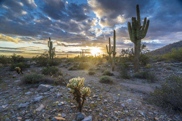 istock The last rays of sun for the day 1437197517