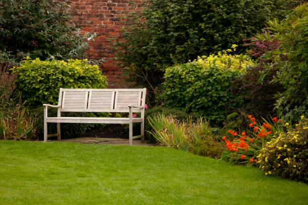 istock Shot of a white bench in a park 1437198239