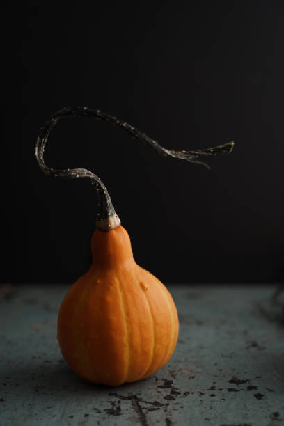 istock Bright orange and green gourd and decorative squash vegetables 1437199048