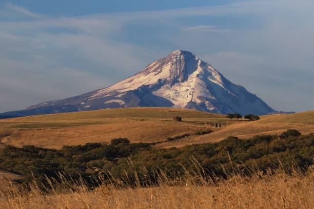 istock Beautiful view of Mount Hood, Oregon 1437200026