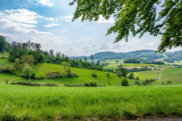 ドイツのオーデンヴァルトは純粋な自然です - odenwald ストックフォトと画像