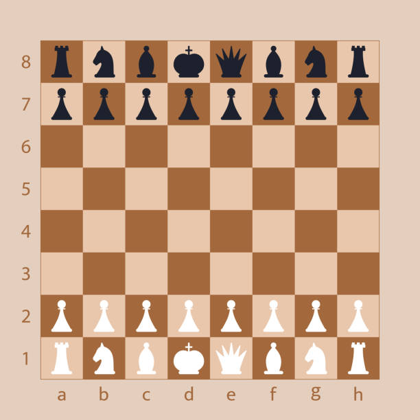 벽 디스플레이 체스 보드 상위 뷰 - black hobbies chess knight chess stock illustrations