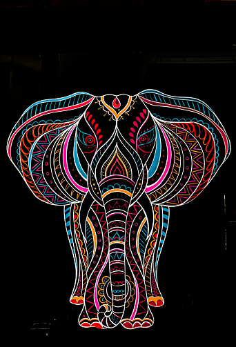 An illustration of a beautiful and colourful elephant on the black background