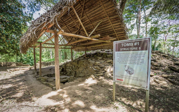 гробница на руинах майя ним ли пунит - forest preserve стоковые фото и изображения